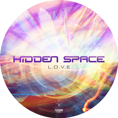 Hidden Space