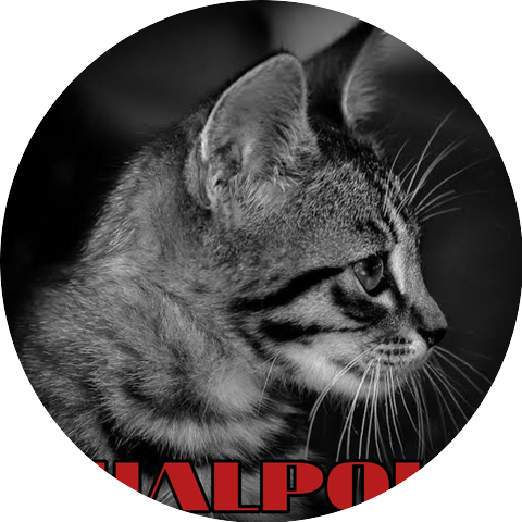 THALPOUZ