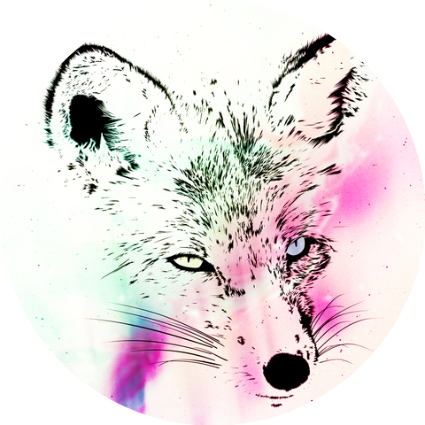 Azido 88 & 9-Tailed Fox