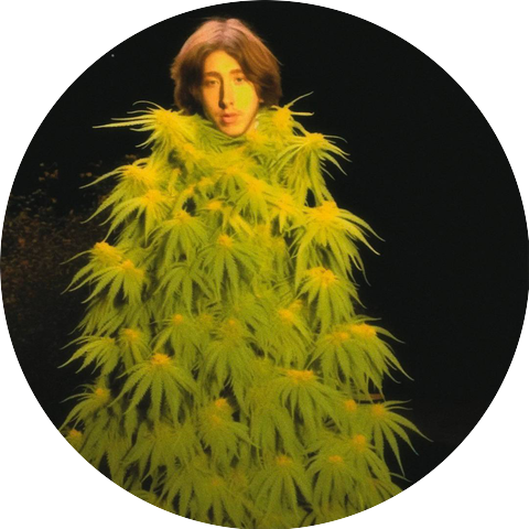 TheAdult
