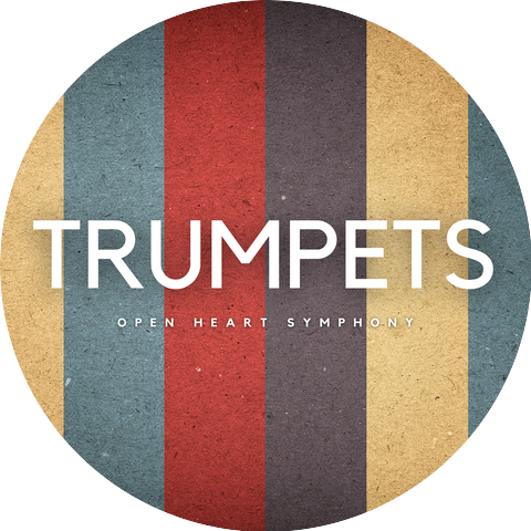 Open Heart Symphony