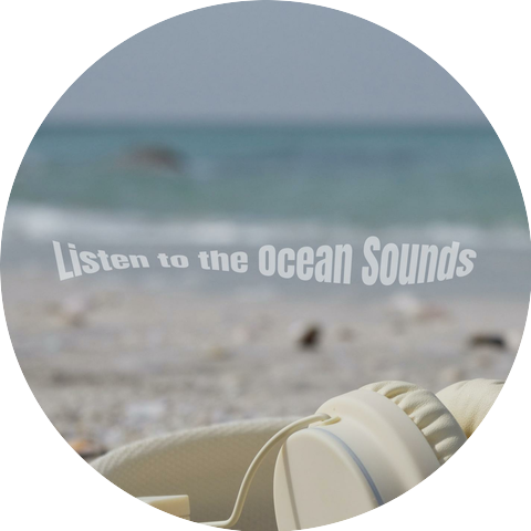 Authentic Ocean Waves