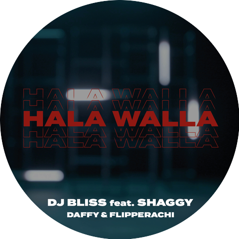 DJ Bliss & Shaggy
