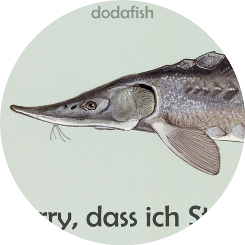 dodafish