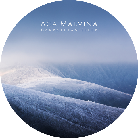 Aca Malvina