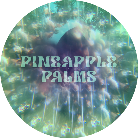 Pineapple Palms