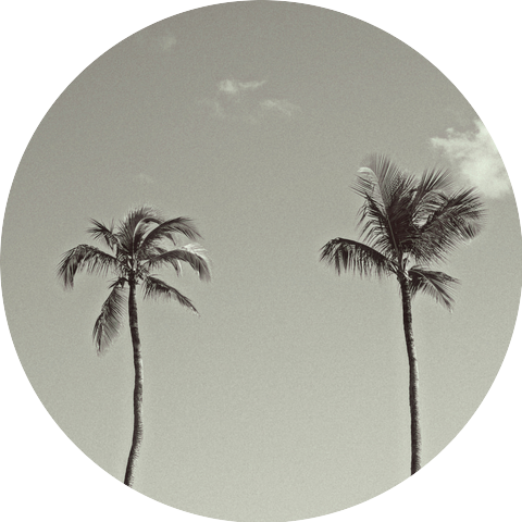 The South Rain