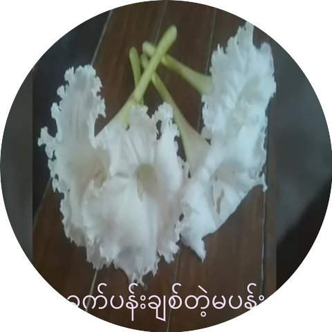 Naing Lin Aung
