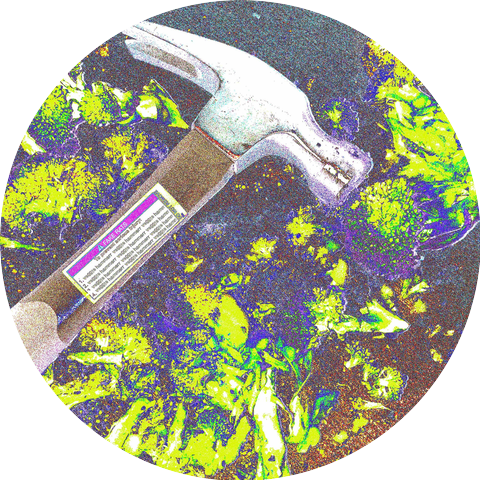 VeggieHammerr