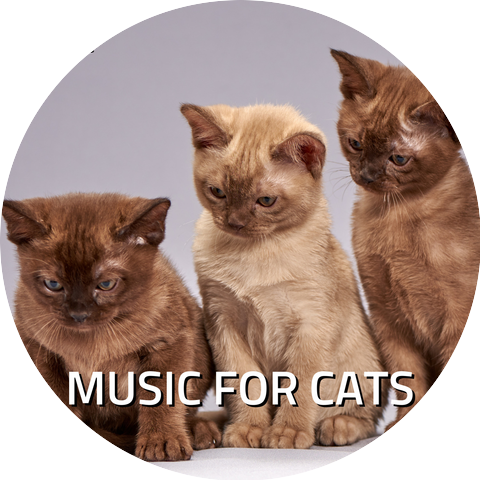 RW Music for cat’s ears