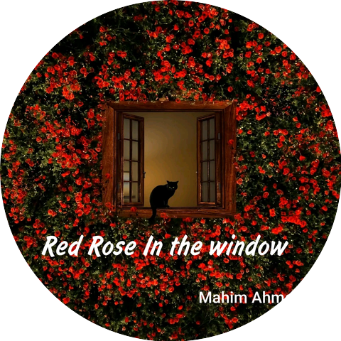 Mahim Ahmed