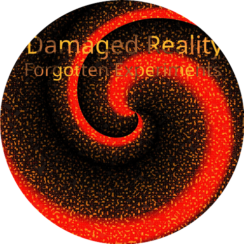 Damaged Reality