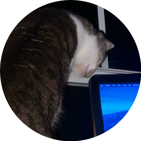video_slug