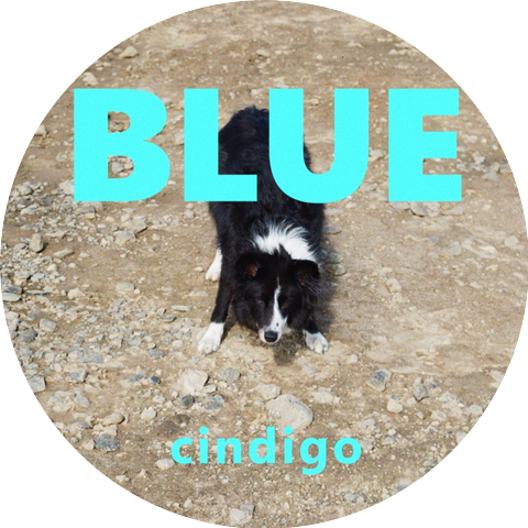 cindigo