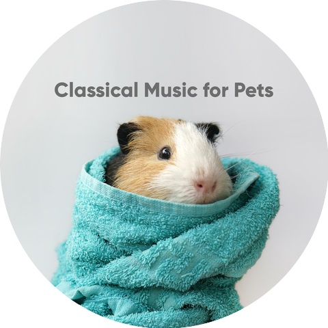 Classical Music for Pets