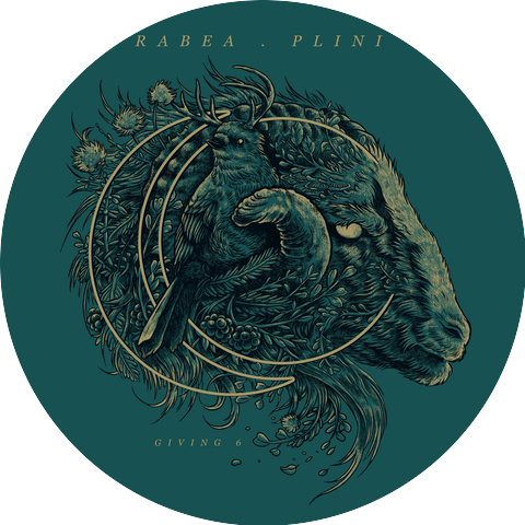 Rabea Massaad & Plini