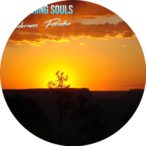 Wandering Souls & Joseph Iacano