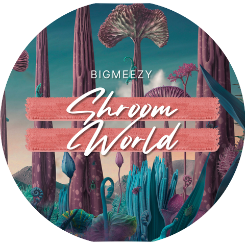 BigMeezy