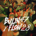 Bulin 47 & Flow 28