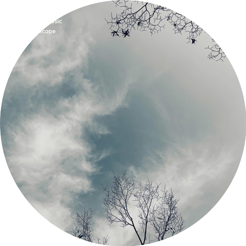 Doong's Music (둥스뮤직)