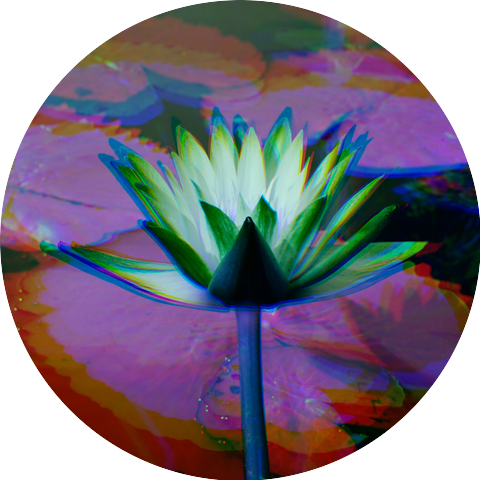 Psyuri