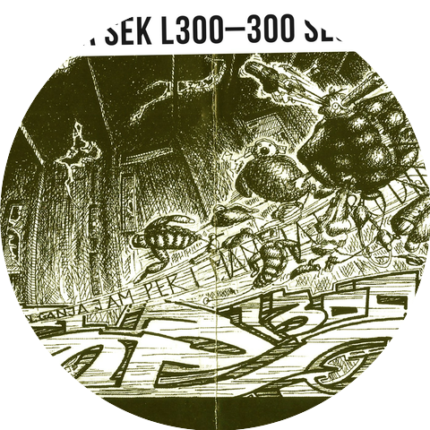 SECA SEK L300