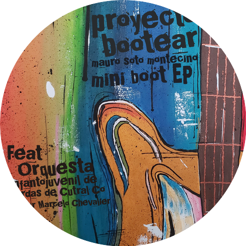 Mauro Soto Montecino