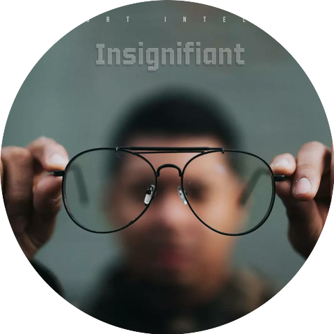 Support intellect