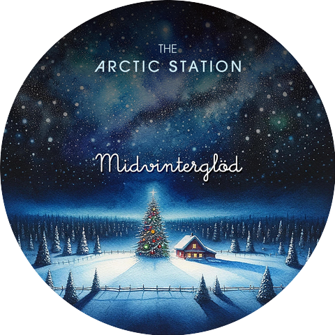 The Arctic Station