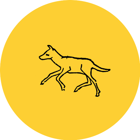 Maebi