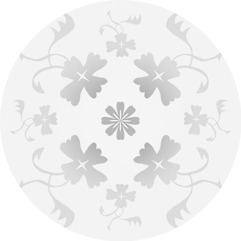 Nuori Sälli