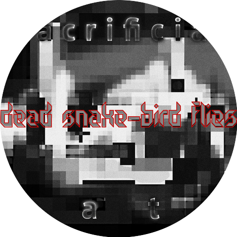 Dead Snake-Bird Flies