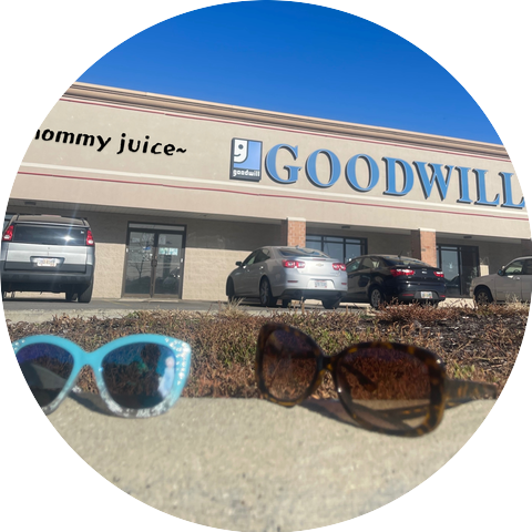 Goodwill Sunglasses