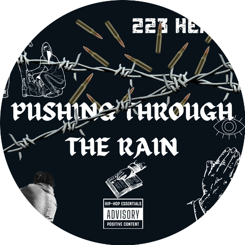223 heavy