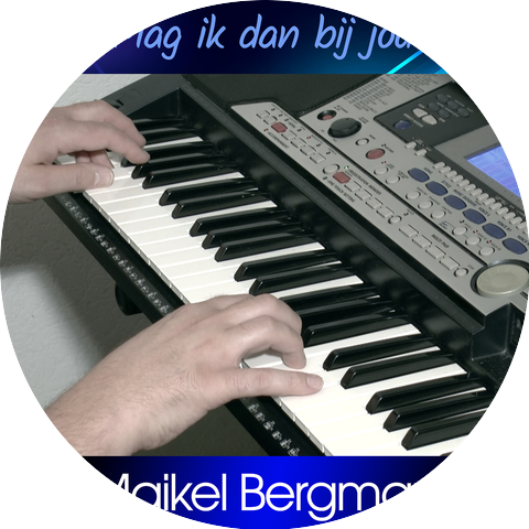 Maikel Bergman