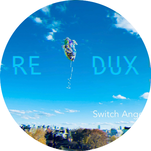 Switch Angel