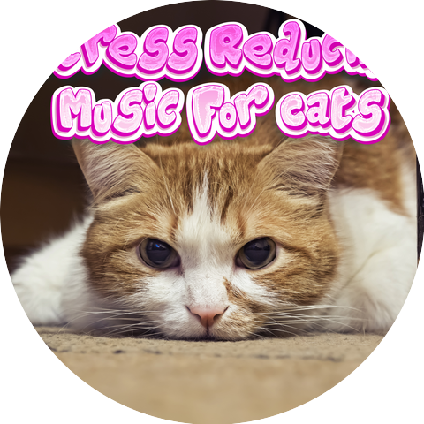 Stress Reducing Music For Cats & Calming Music For Cats With Anxiety & Deep Soothing Music For Anxious Ill And Stressed Cats