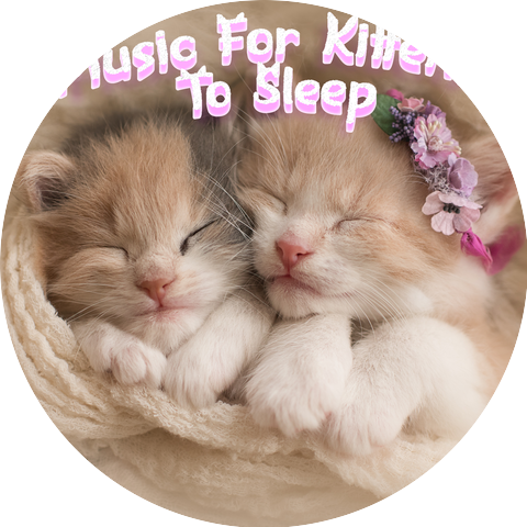 Music For Kittens To Sleep & Anxiety & Stress Relief Music For Cats & Kittens & Music To Make Your Kitten Calm Down & Go To Sleep