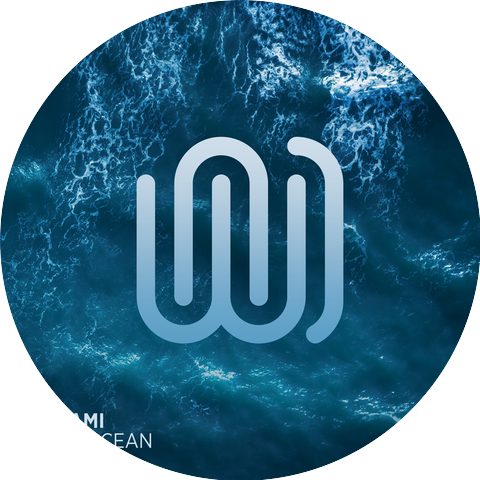 Octami