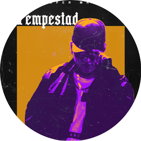 Damper Mr. D