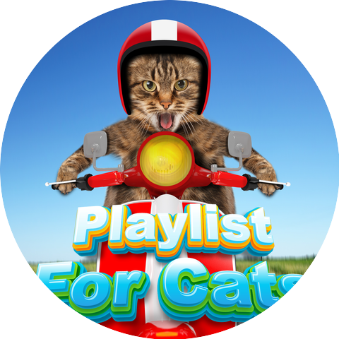 Playlist For Cats & Calm Music Playlist For Cats & Playlist For Kittens