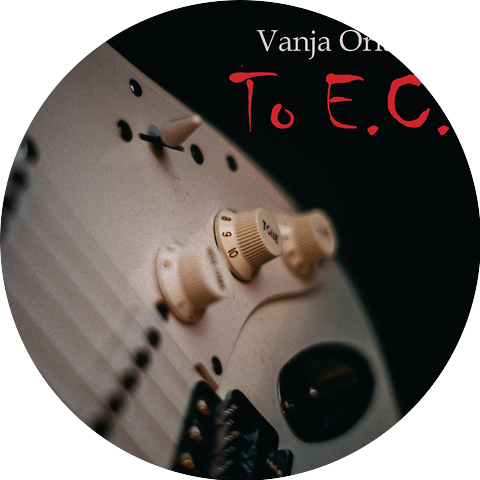 Vanja Orlandic