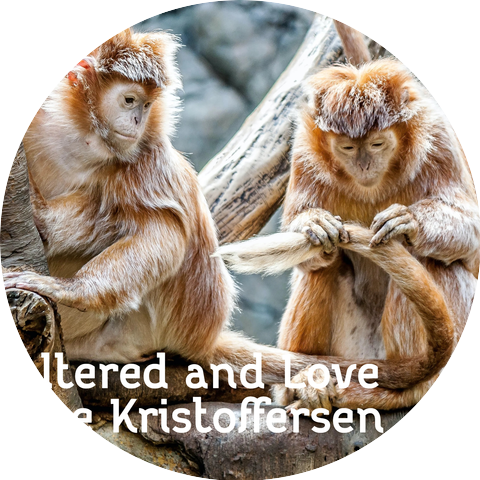 Lise Kristoffersen