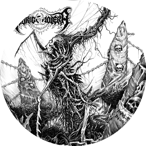 VIBRIO CHOLERA