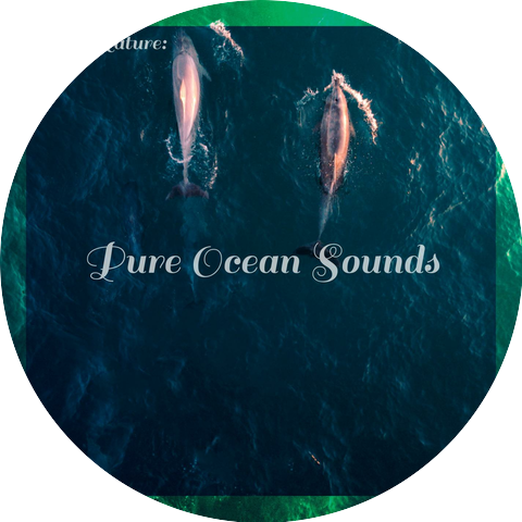 Balanced Ocean Waves