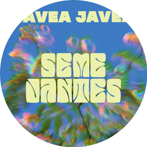 JAVEA JAVEA