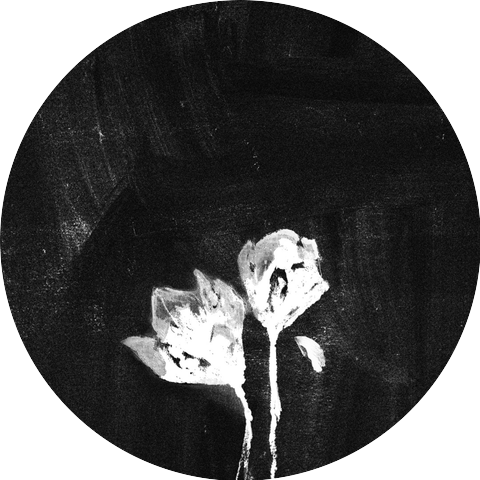 DAM1NOISE