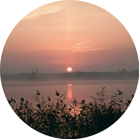 witbezkacy