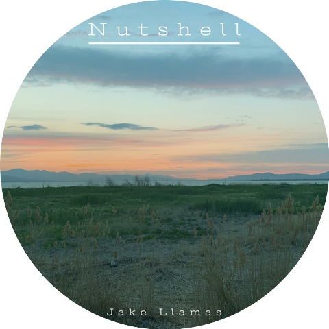 Jake Llamas