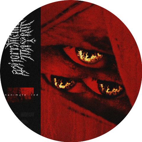 Where Memories May Rot